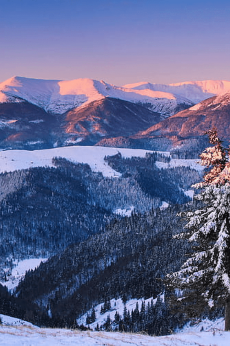Winter Wallpaper for Mobile – Embrace the Chilly Charm on Your Screen