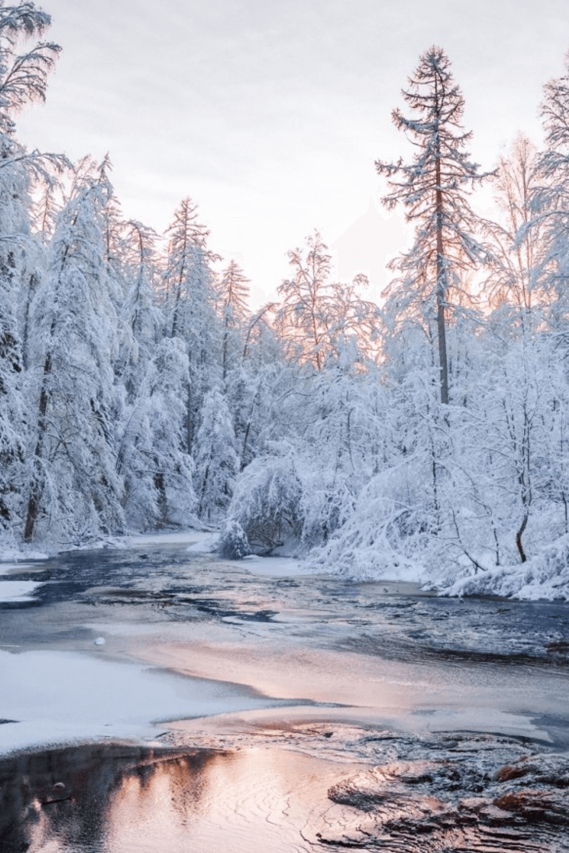 Winter Wallpaper for Mobile – Embrace the Chilly Charm on Your Screen