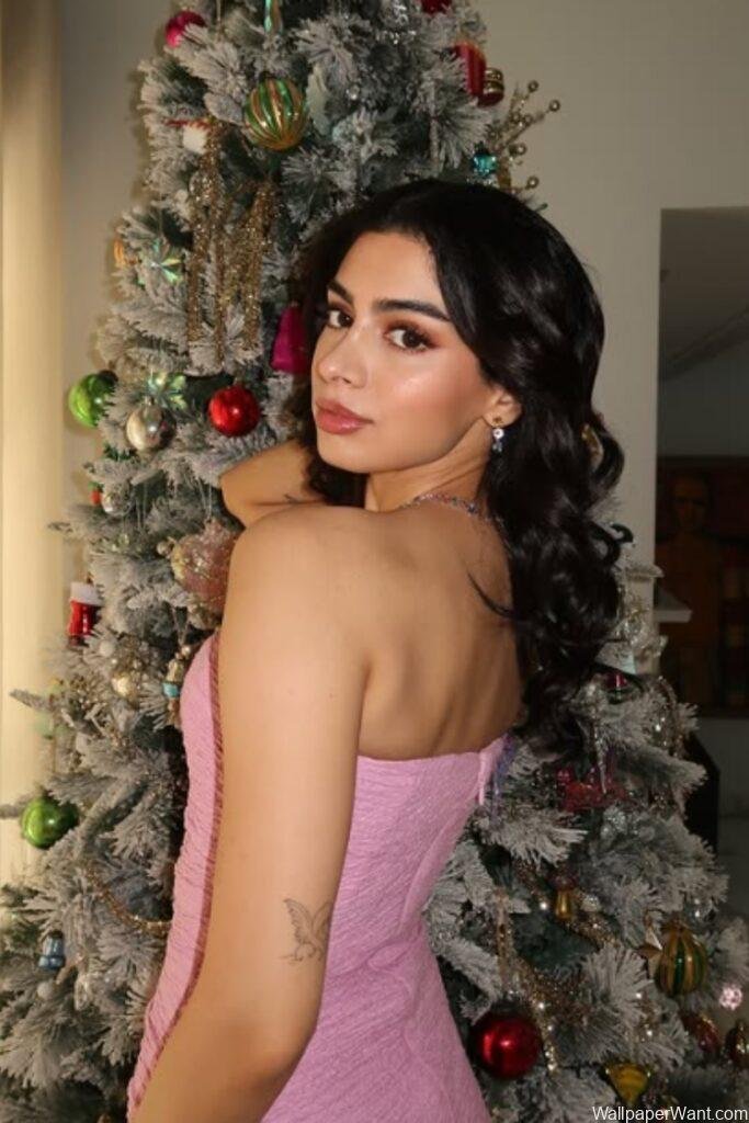 Chrismast Tree khushi kapoor