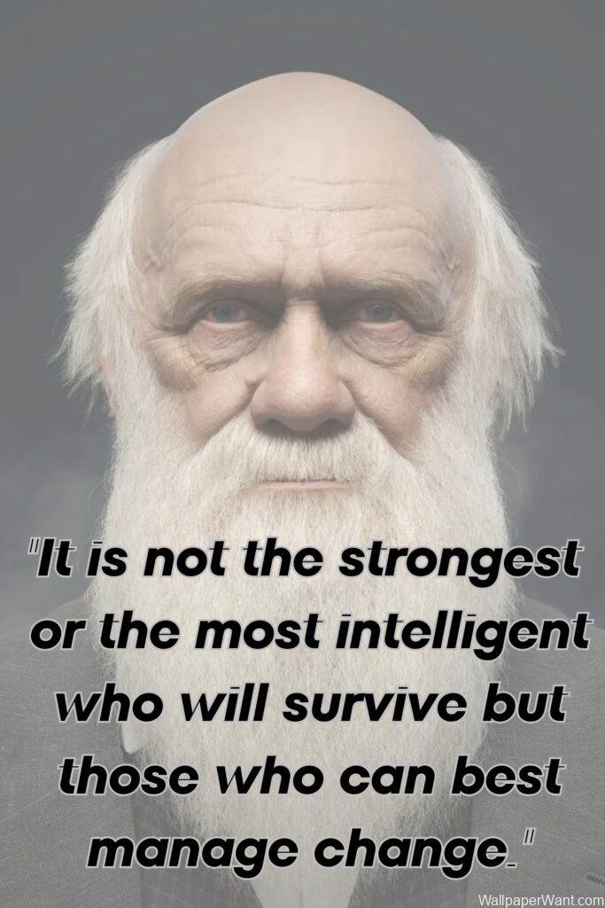 Alan Watts