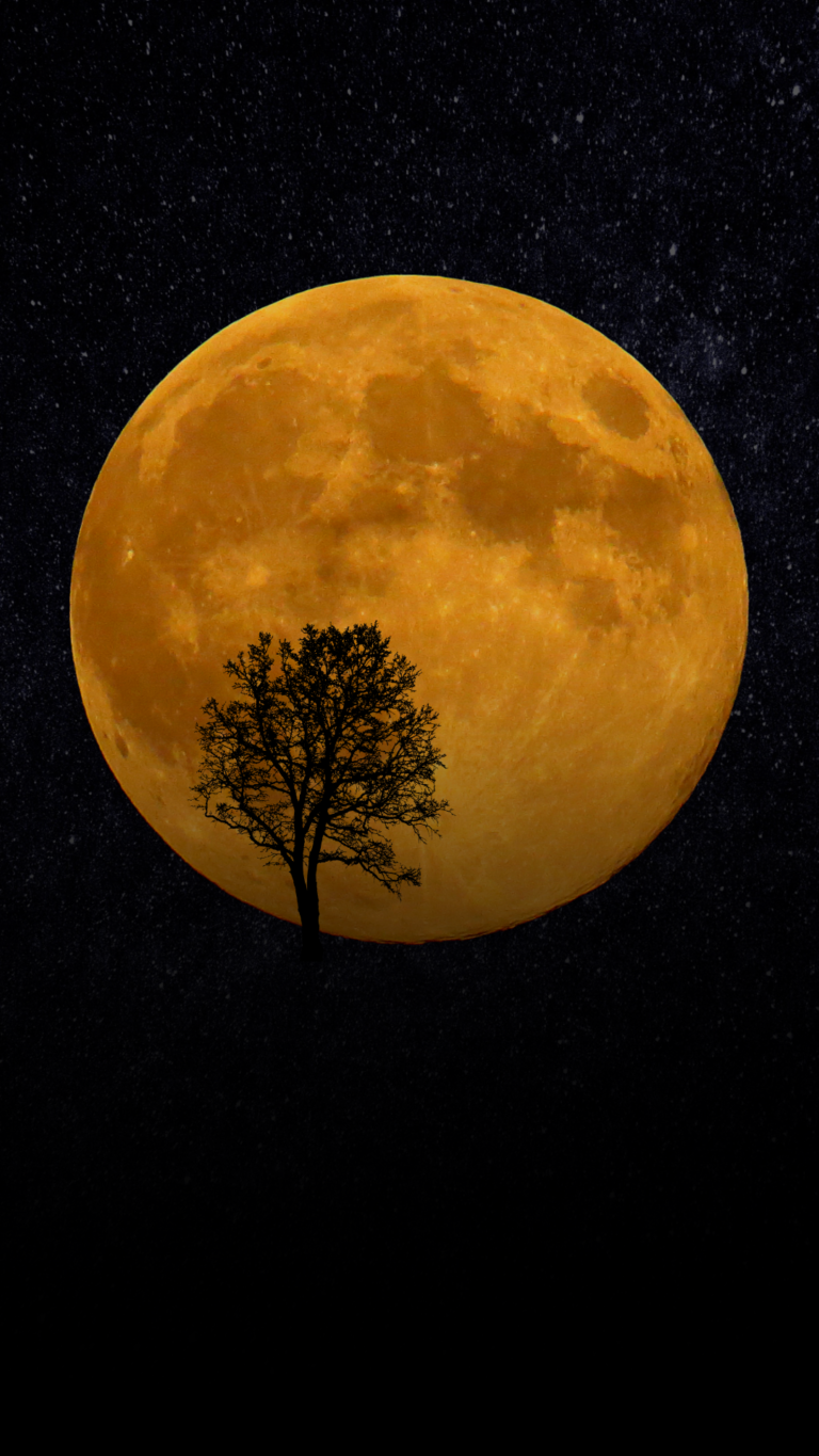 Lockscreen Wallpaper for iPhone